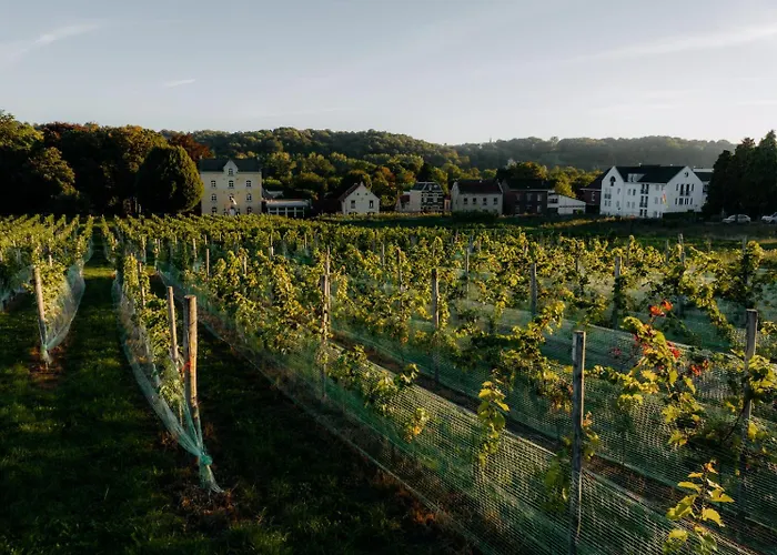 Corneli Residences - Chateau St Gerlach * Валкенбург