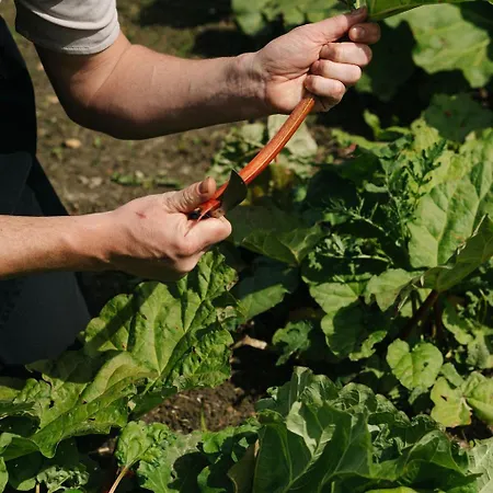 شقة Corneli Residences - Chateau St Gerlach