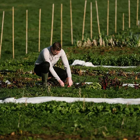 Corneli Residences - Chateau St Gerlach شقة Valkenburg aan de Geul