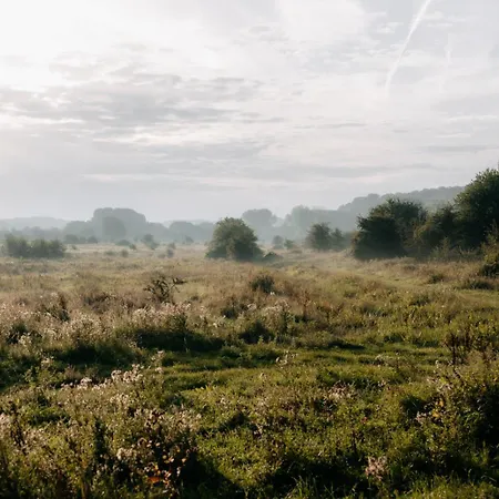 Corneli Residences - Chateau St Gerlach *