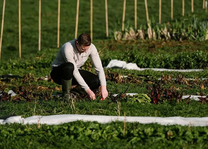 Corneli Residences - Chateau St Gerlach Apartman Valkenburg aan de Geul